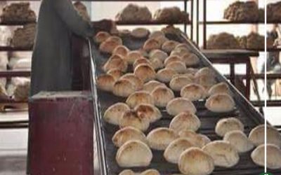 حملات تموينة مكثفة على الأسواق استعدادًا لـ”شم النسيم” بالدقهلية