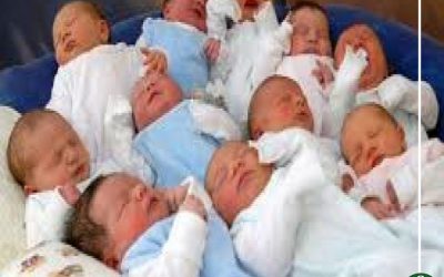 6.9% انخفاضًا في أعداد مواليد العام الجاري