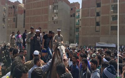 أمن الدقهلية يحبط سباق “العربجية” في المنصورة