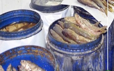 صحة الدقهلية تعدم 750 كيلو فسيخ فاسد