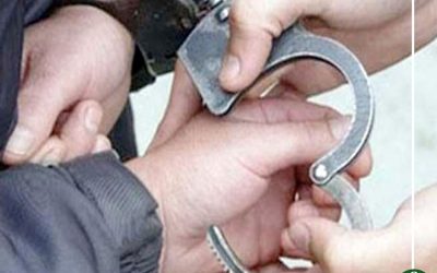 نيابة طلخا تخلى سبيل شاب ألقى والدته من الطابق الثالث