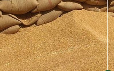 152 ألف طن إجمالى توريد القمح لشون وصوامع الدقهلية