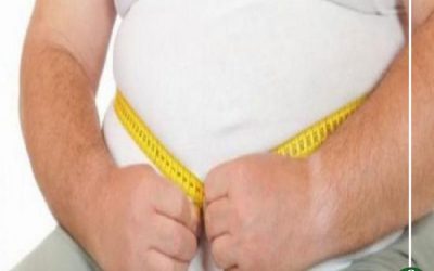 الكعك والبسكويت.. 7 أسباب وراء السمنة المفرطة