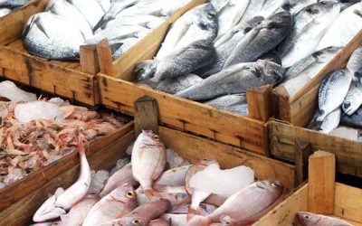 “خليها تعفن” حملة لمقاطعة الأسماك بالدقهلية