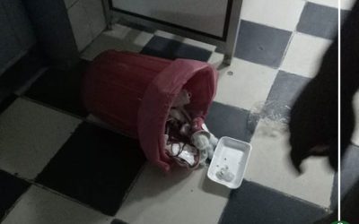 إحالة 6 أطباء بالمستشفى العام القديم بالمنصورة للتحقيق