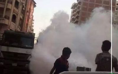 حملات مكثفة لمقاومة الناموس في الدقهلية