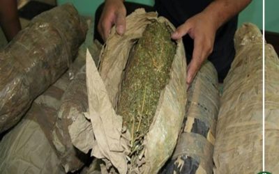 إعدام 3.5 طن مواد مخدرة في بلقاس