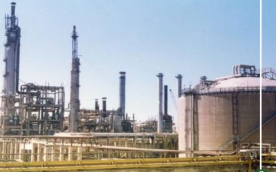 نواب الدقهلية يطالبون بحل أزمة “الدلتا للأسمدة”