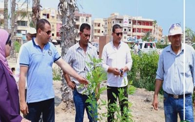زراعة 100 شجرة بحديقة 30 يونيو في جمصة