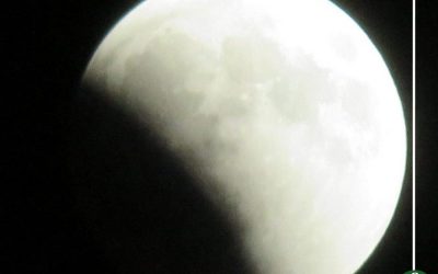 مصر تشهد غدا خسوفا جزئيا للقمر يستغرق 5 ساعات و38 دقيقة