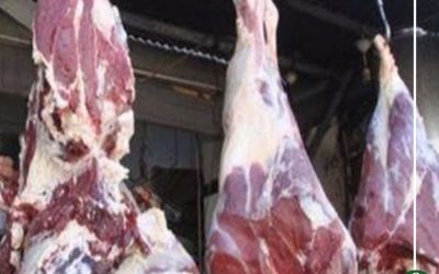 بيطرى الدقهلية يكثف حملاته الرقابية بالأسواق