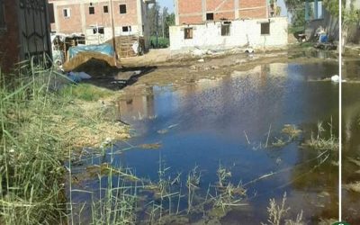 مياه الصرف تغزو المنازل والمزروعات بقرية بسنديلة فى الدقهلية