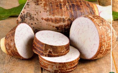 4 فوائد صحية للقلقاس منها فقدان الوزن