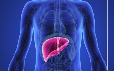 5 أطعمة على مريض الكبد تجنبها … تعرفى عليها