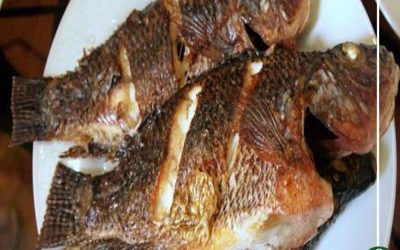 6 فوائد يقدمها السمك البلطي لصحتك