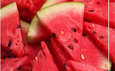 احترس.. بكتيريا خطيرة في البطيخ قد تصيبك بالتسمم