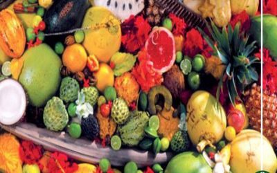 فواكه تعالج النحافة وتساعد على زيادة الوزن