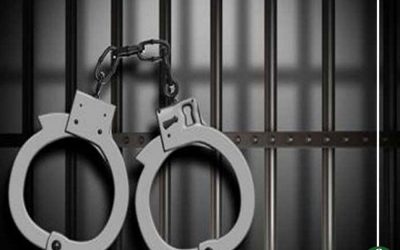 حبس سيدتين كونتا تشكيلًا عصابيًا في ميت غمر